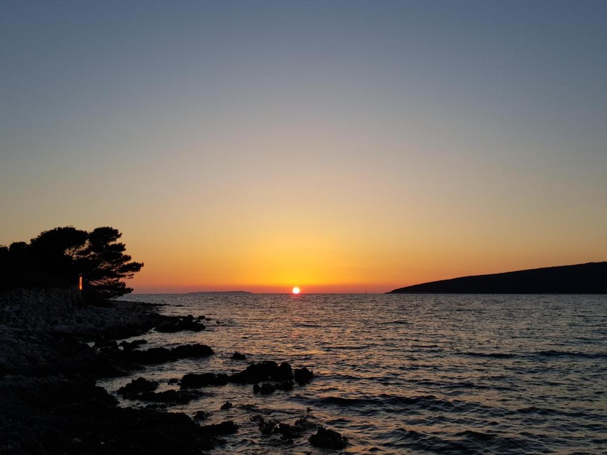 K9 Mobile Home Camp Dalmacija Privlaka Privlaka  Eksteriør billede