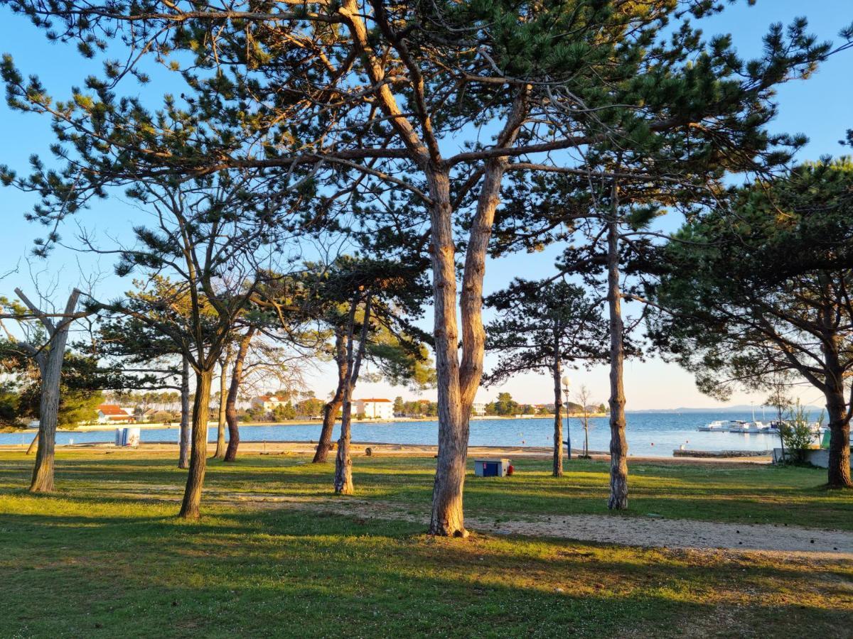 K9 Mobile Home Camp Dalmacija Privlaka Privlaka  Eksteriør billede